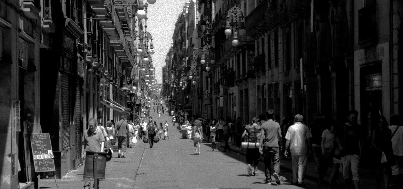 The Role and Functionality of Special Police Interference Vehicles