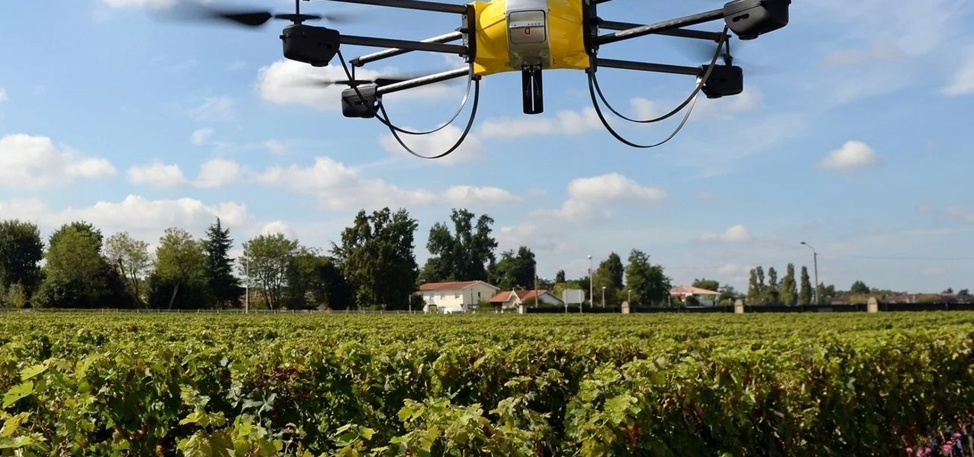 Are Backpack Frequency Jammers Harmful to the Human Body?