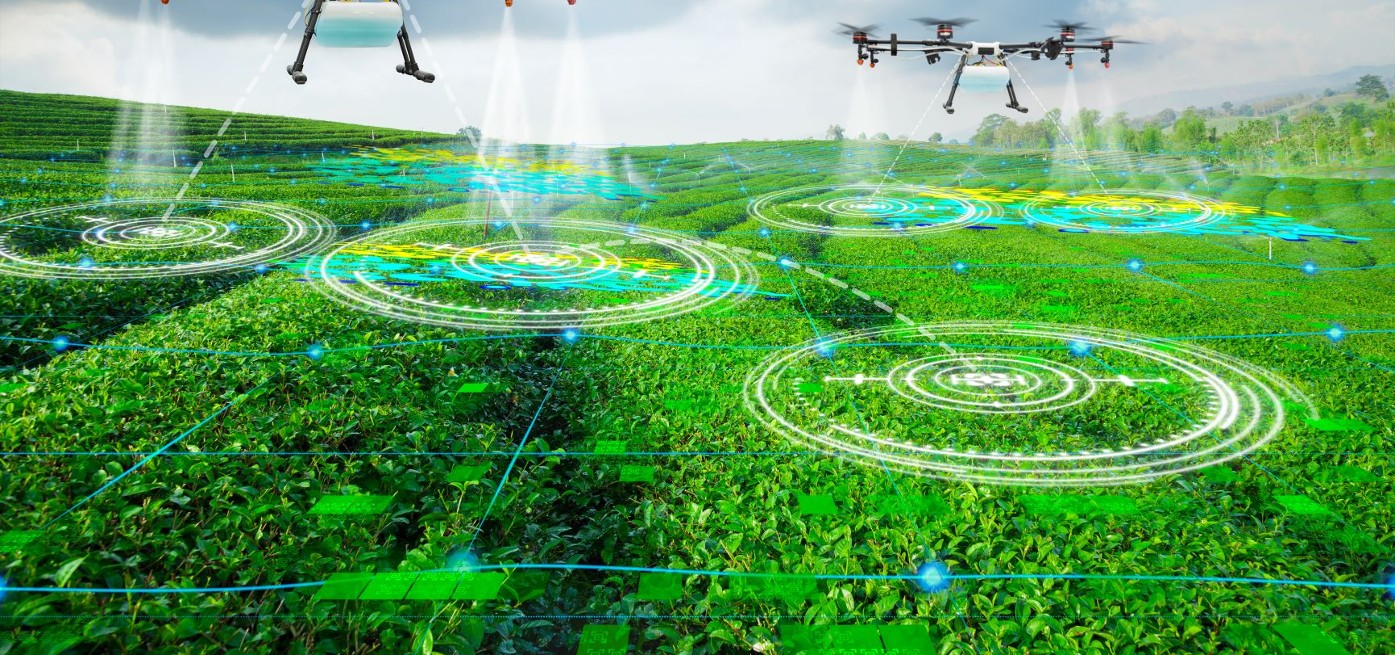 Troubleshooting and Analysis of Network Mobile Signal Jamming Systems