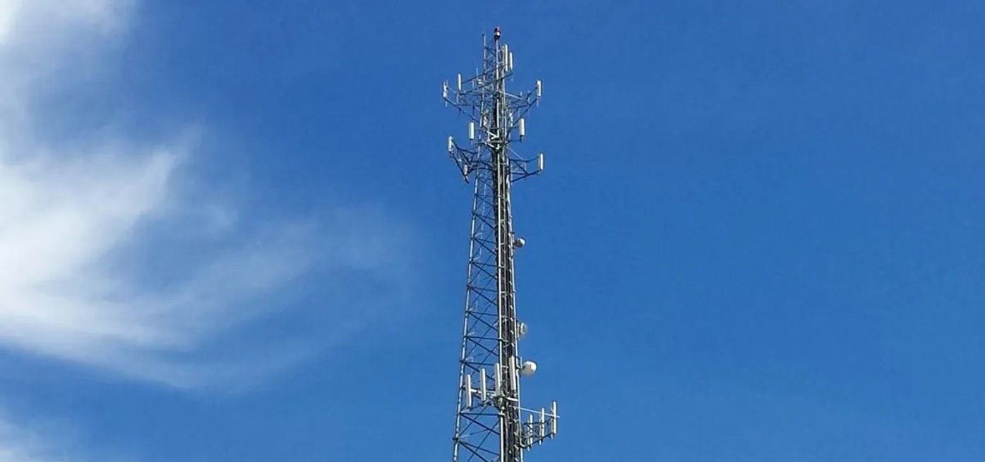 Testing the Effectiveness of Examination Signal Blockers