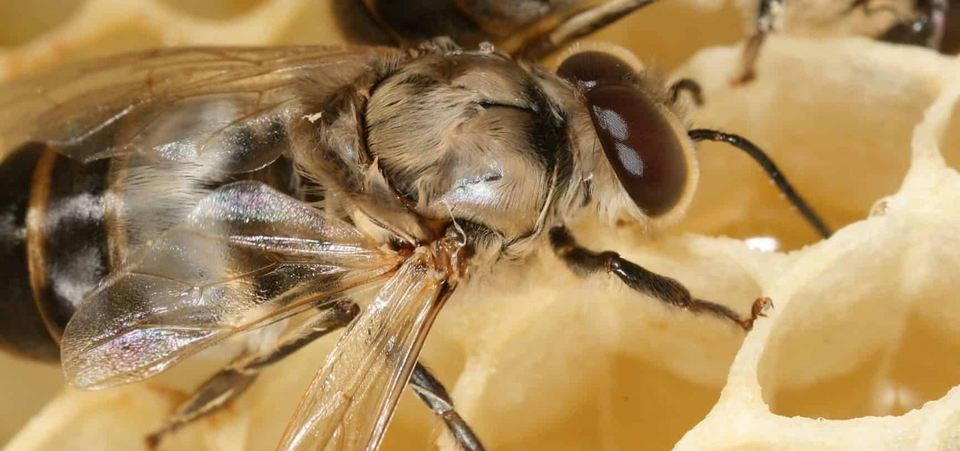 The Importance of Signal Jammers in Certain Environments