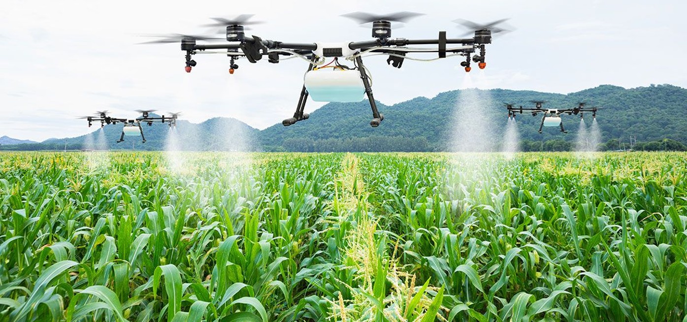 The Dangers of Using Mobile Phones at Gas Stations: A Call for Increased Safety Measures