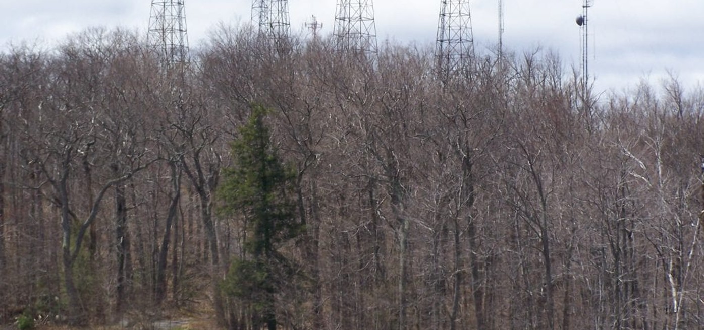 Understanding the Difference Between Cell Phone Signal Jammers and Frequency Jammers