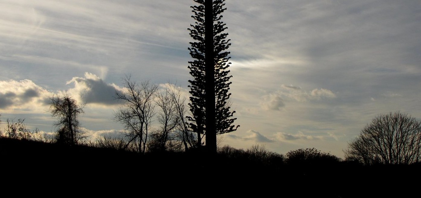 How Backpack Frequency Jammers Can Prevent Unauthorized Recording and Surveillance